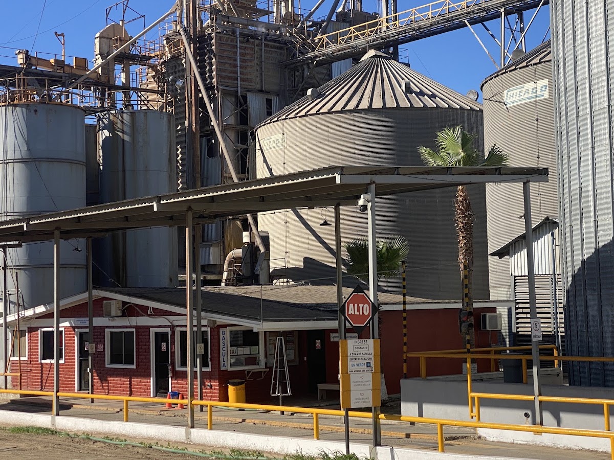Alimentos y Productos para Ganado Lechero S. A. De C. V.