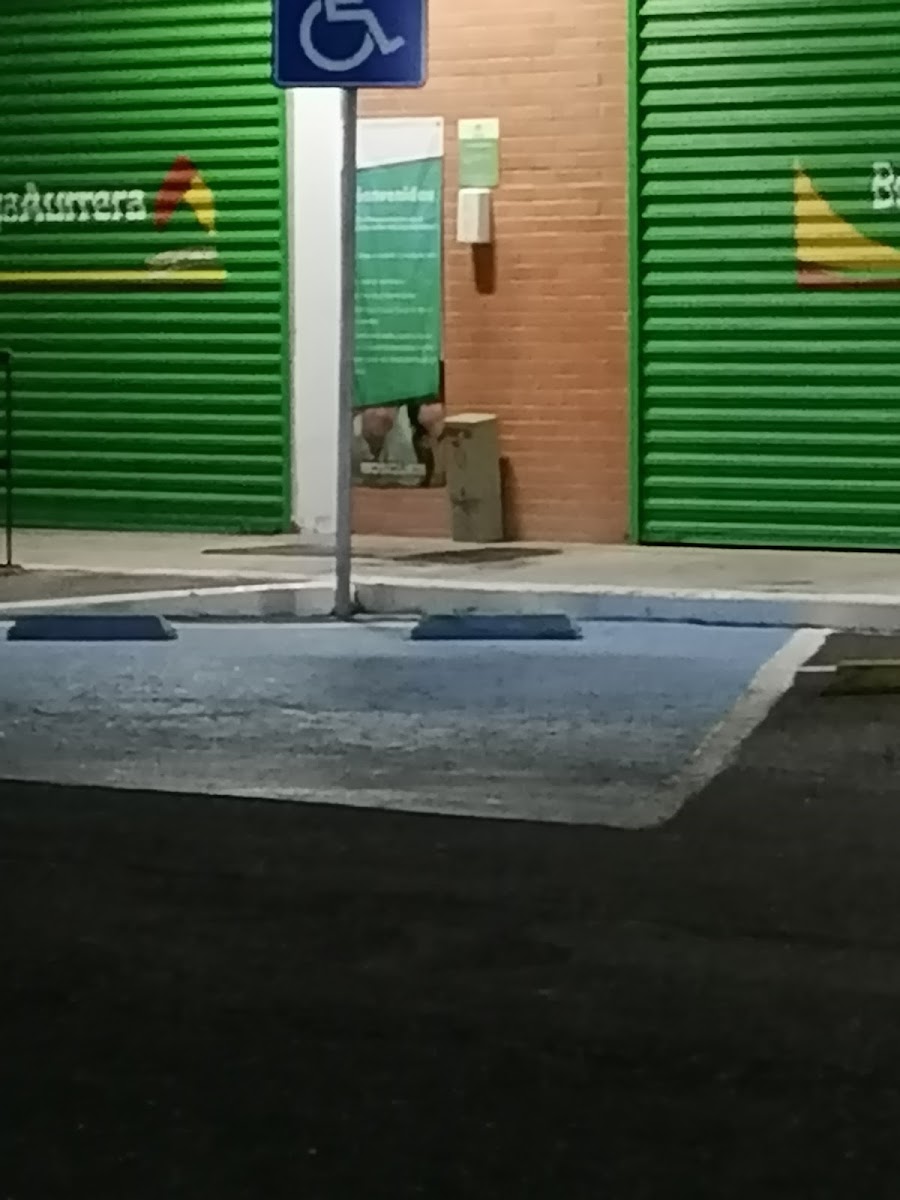 Bodega Aurrera Express, Plaza Bosques