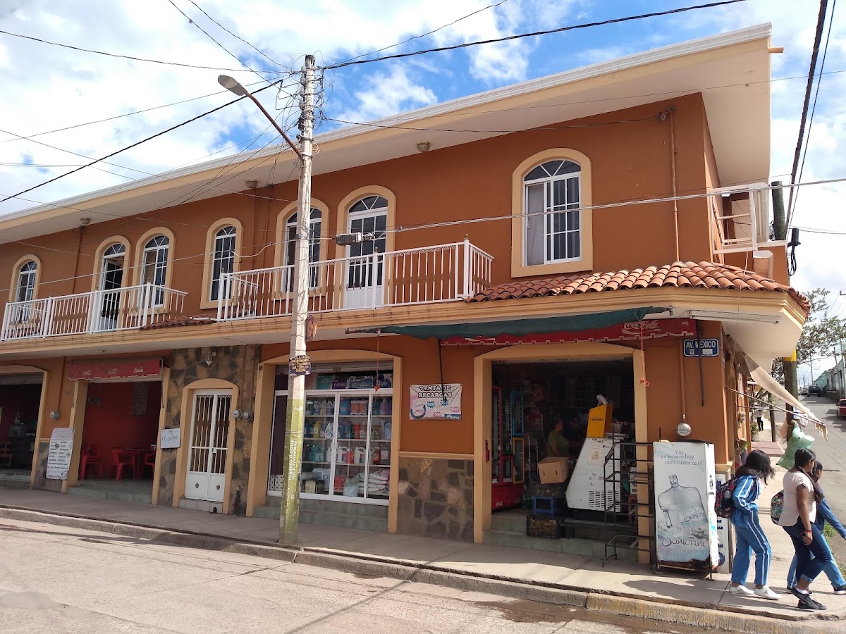 Bebidas y Abarrotes Pelayo