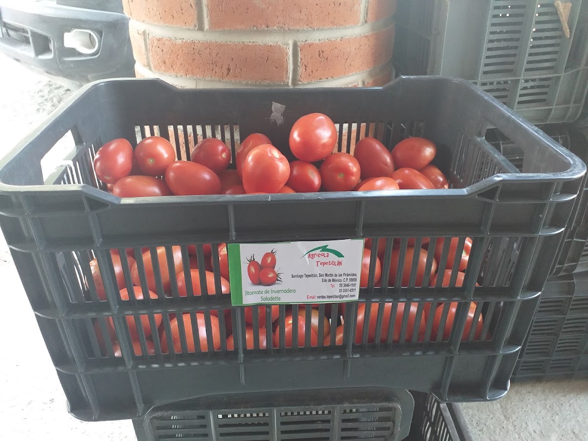 Invernadero Agrícola Tepetitlan