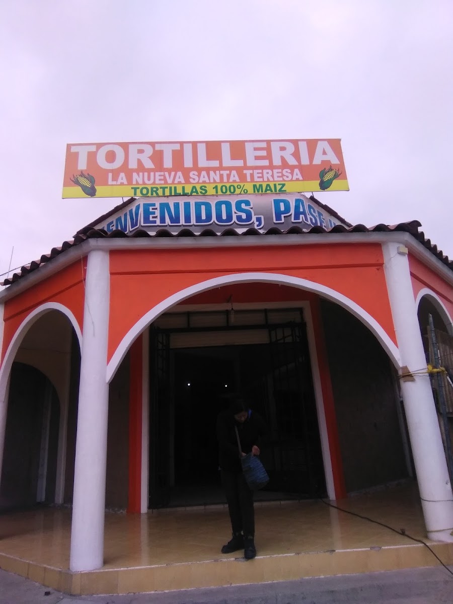 Tortilleria Santa Teresa III