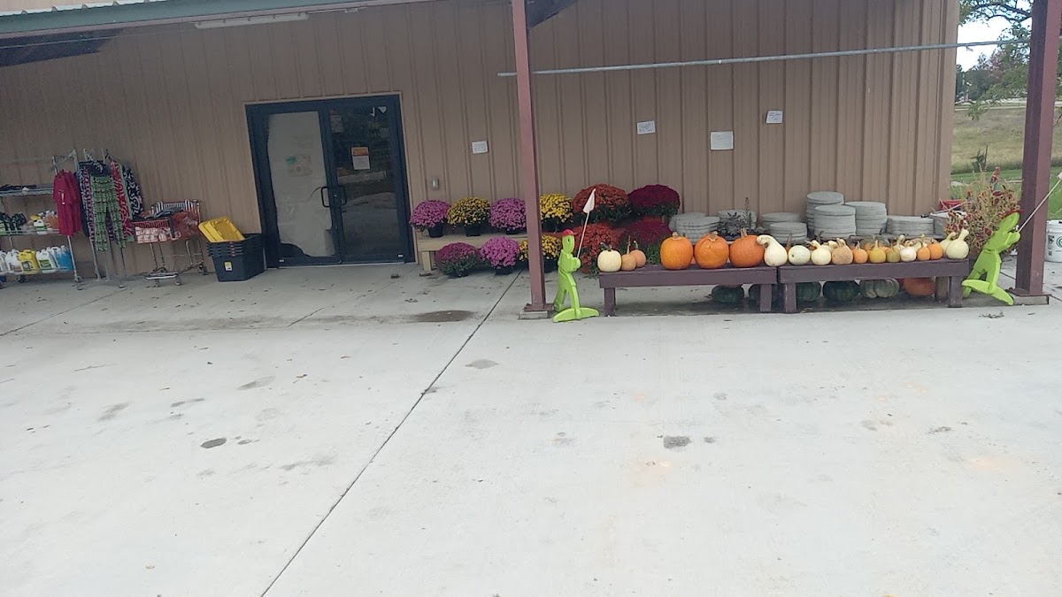 Bag Lady Discount Grocery