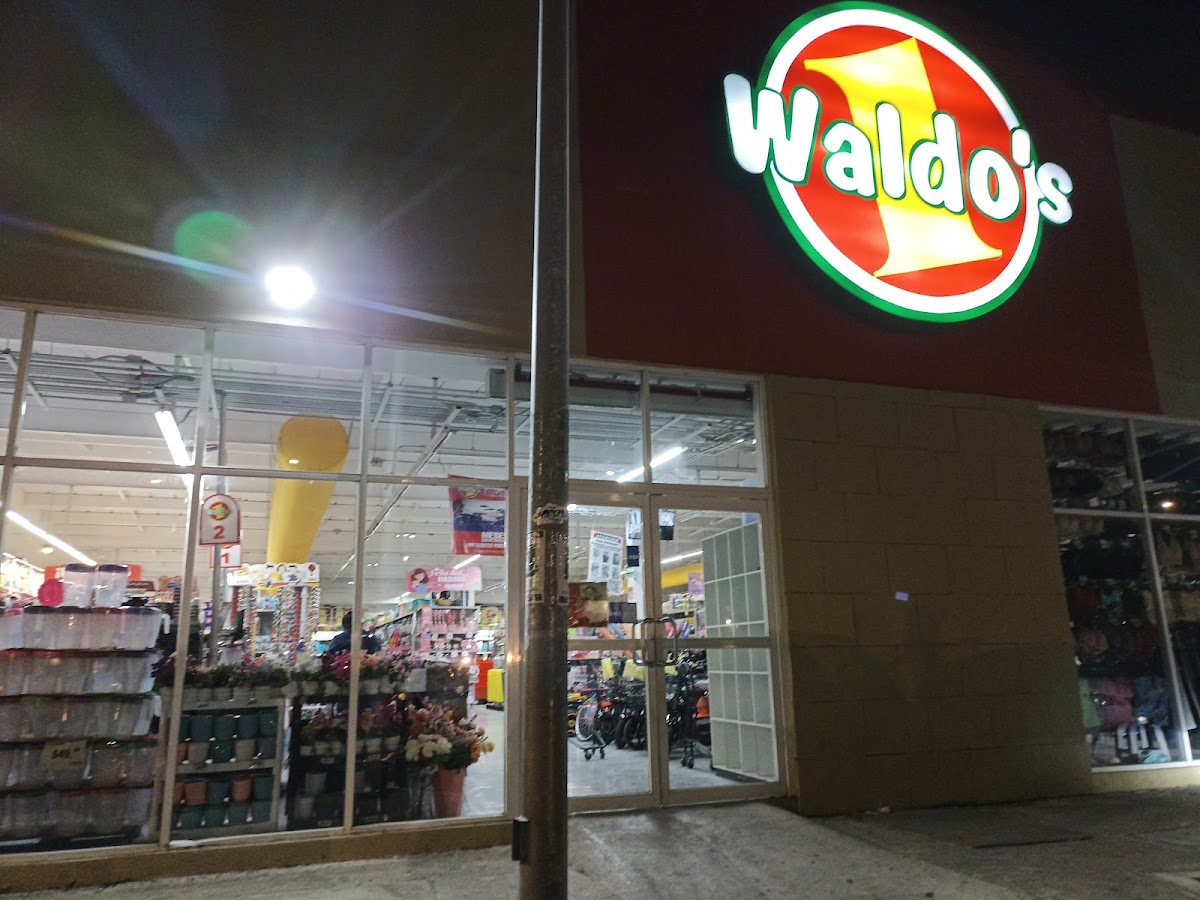 Waldo´s Cancún Talleres