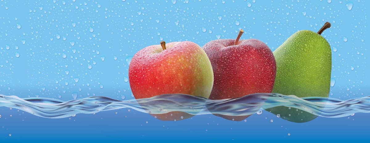 Elbe-Obst Erzeuger- organisation r.V.