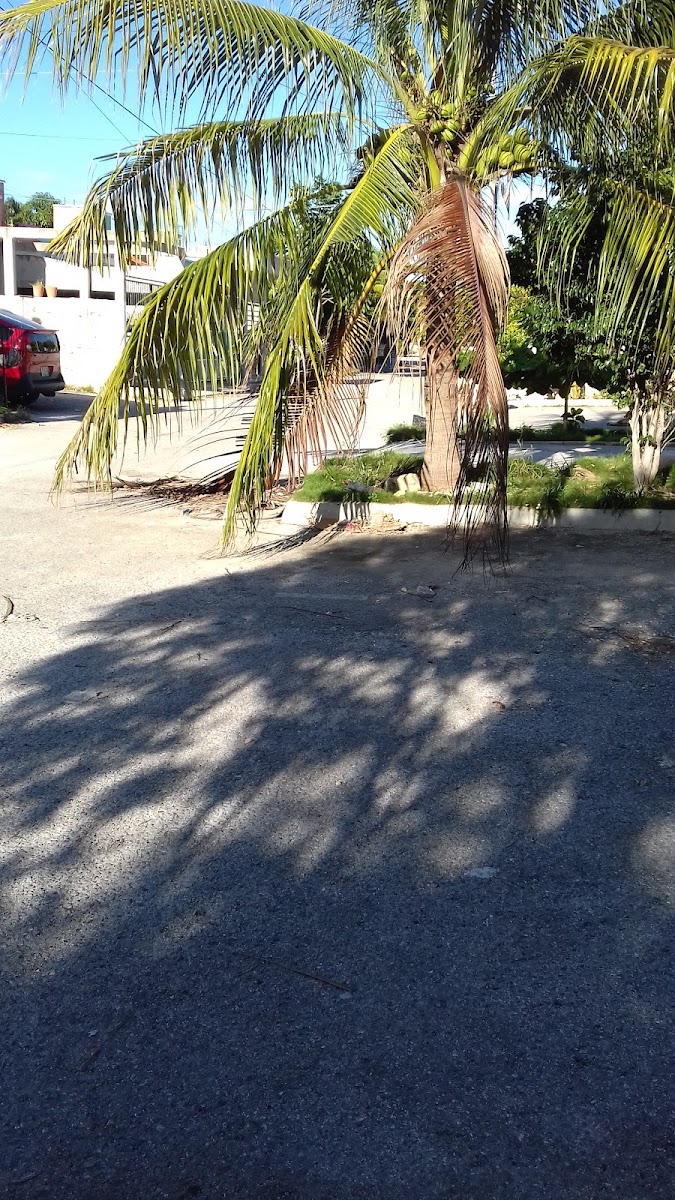 Villas Otoch 4ta Priada El Nogal