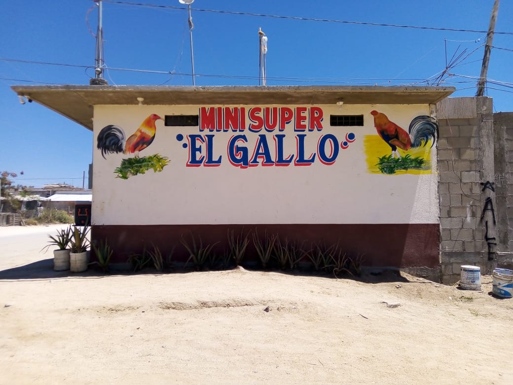 Mini super 'EL GALLO'