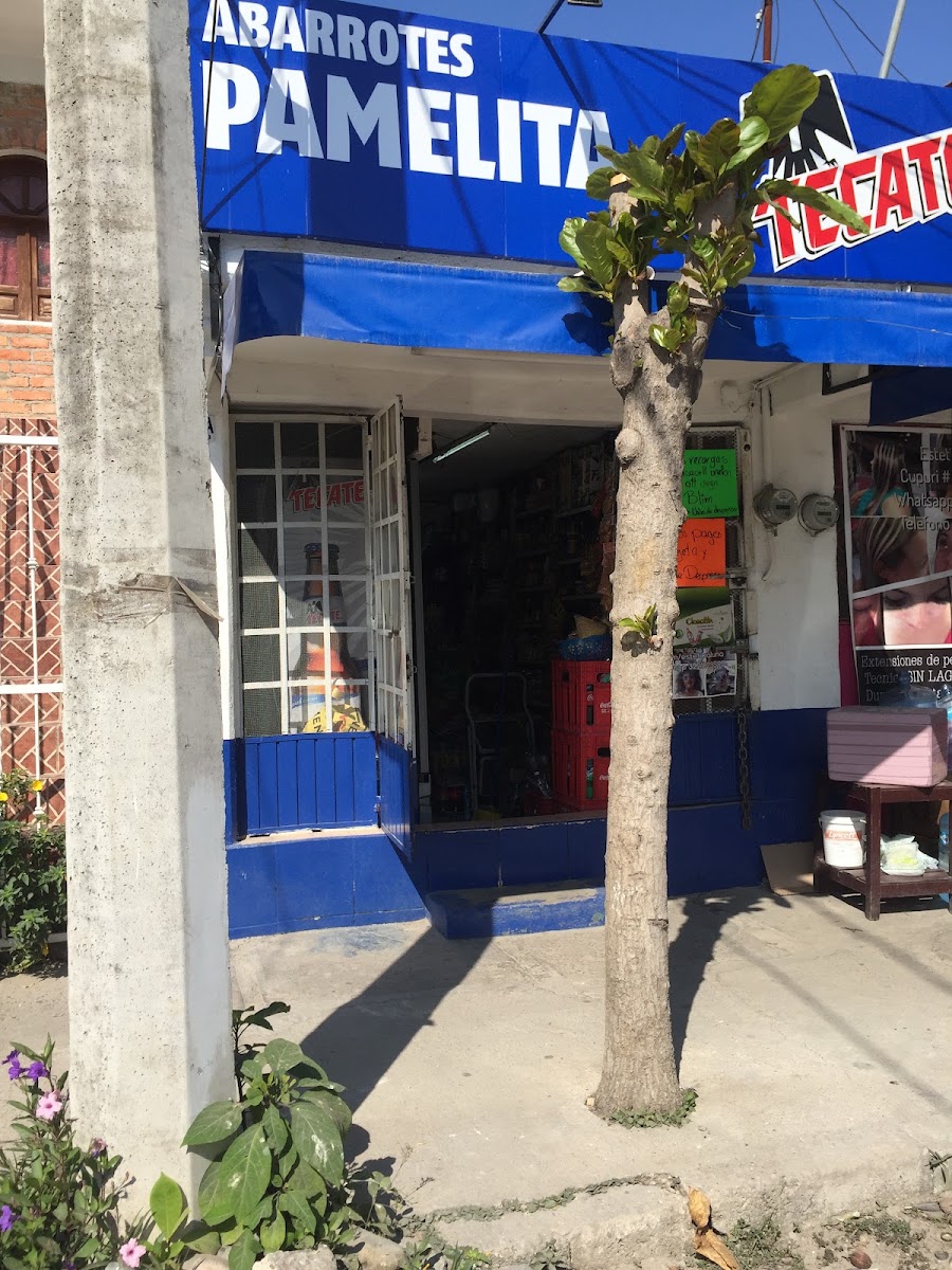 Abarrotes pamelita Tienda Wish