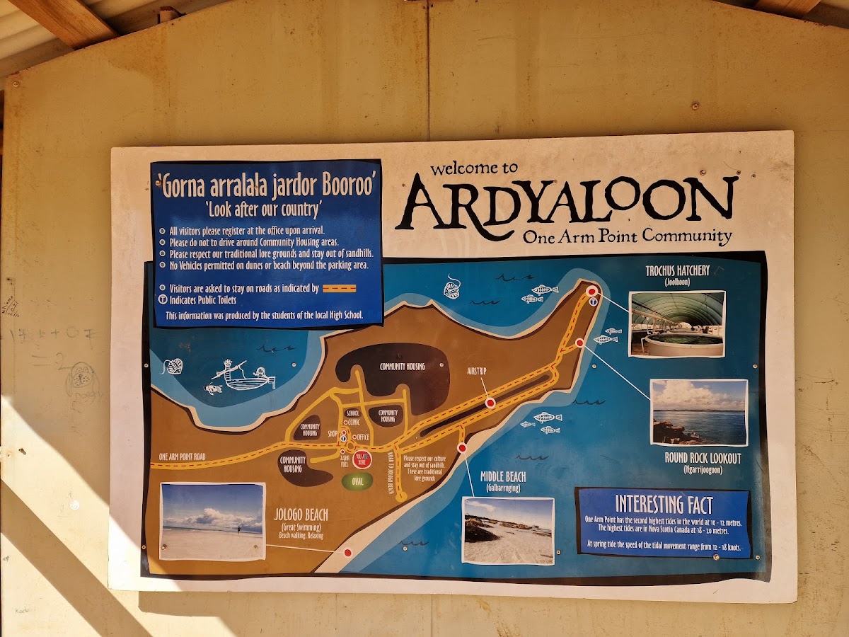 Bardi Ardyaloon Store