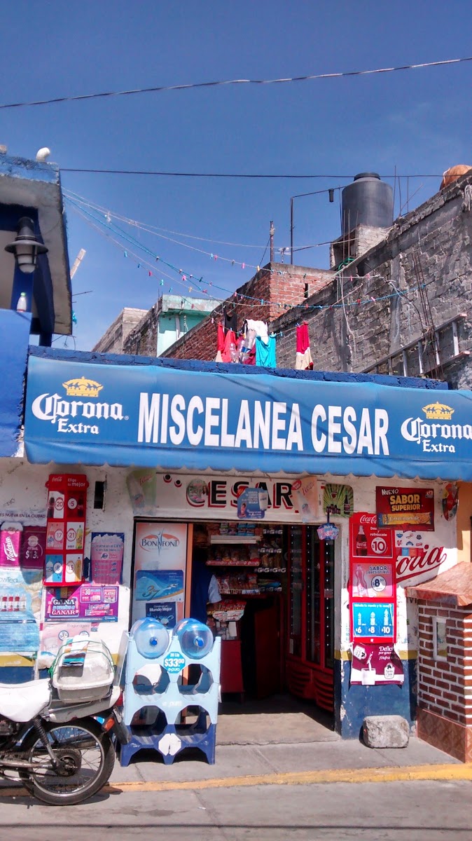 Miscelanea Cesar