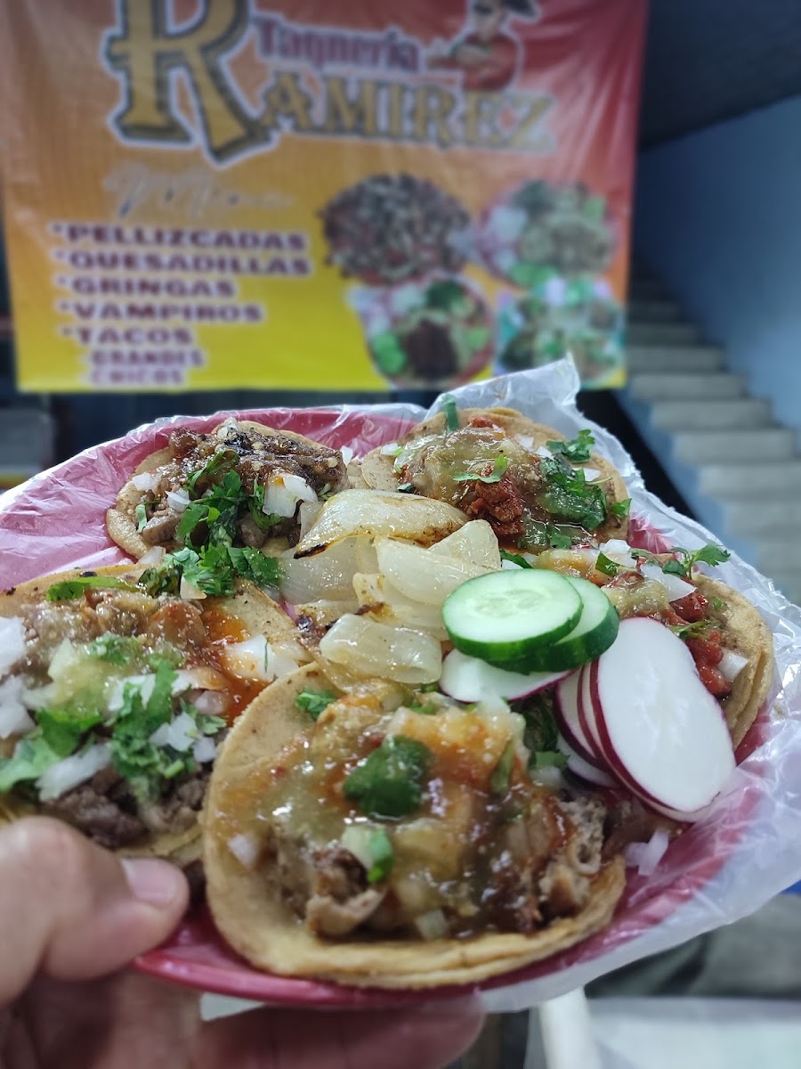 Cremería y Abarrotes Alfa 2