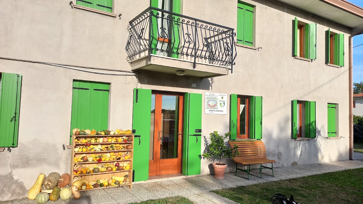 Azienda Agricola 'la Negrisia'