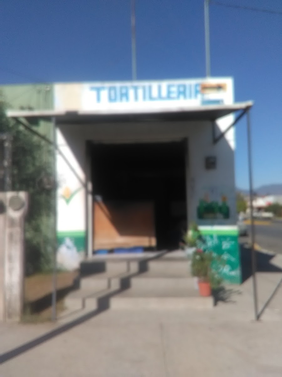 tortilleria la providencia
