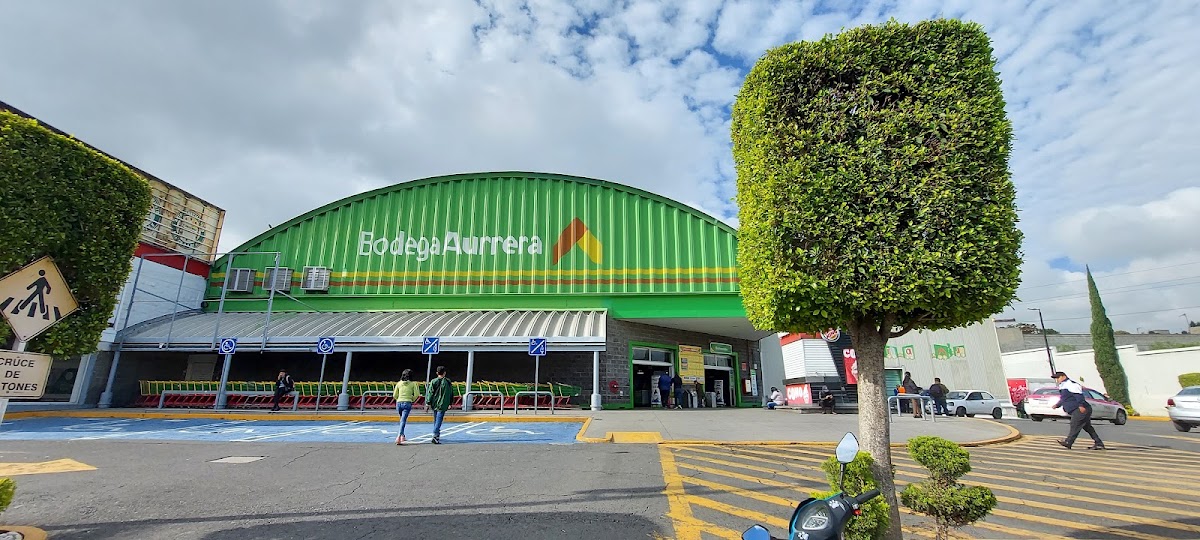 Bodega Aurrera, Los Reyes