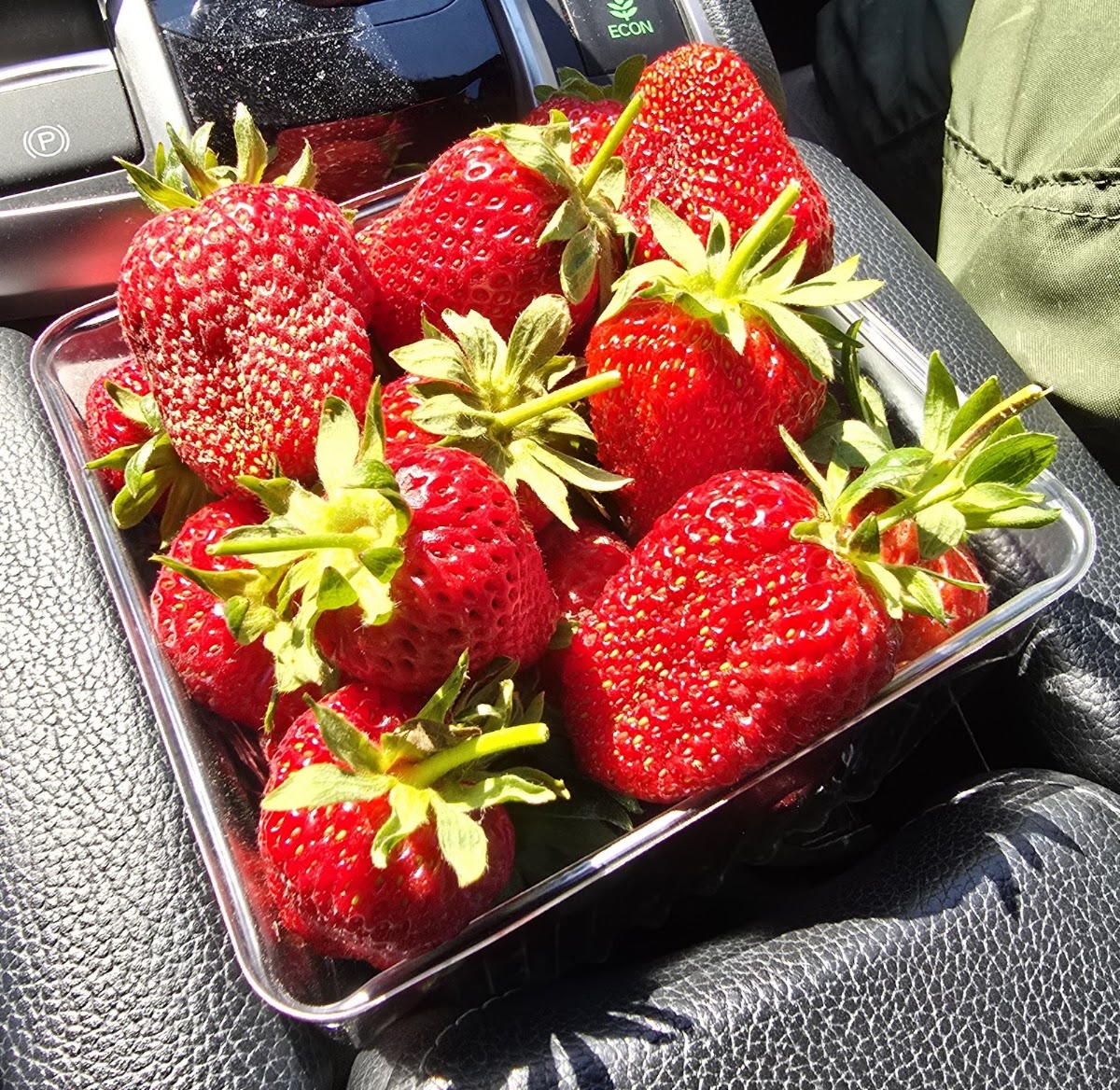 Brookdale Farms