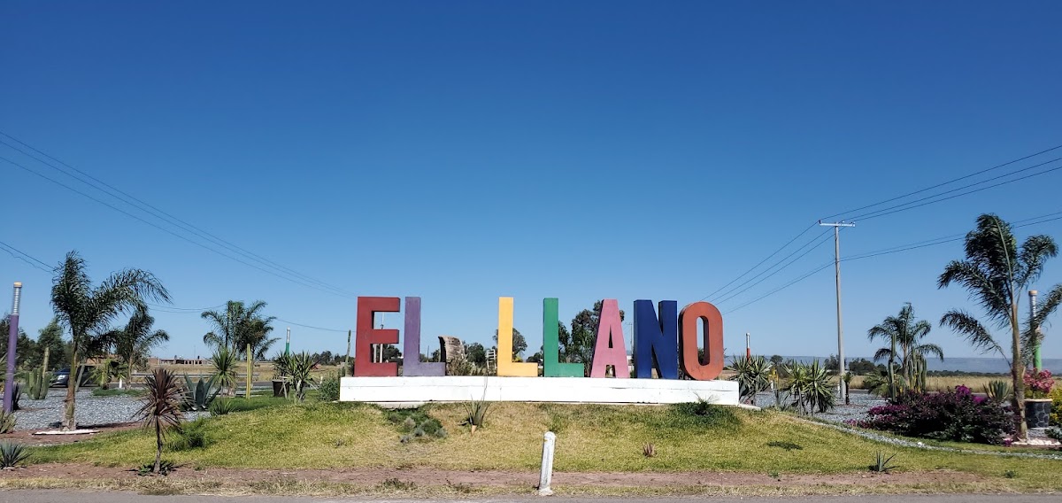 Viñedos Salvador
