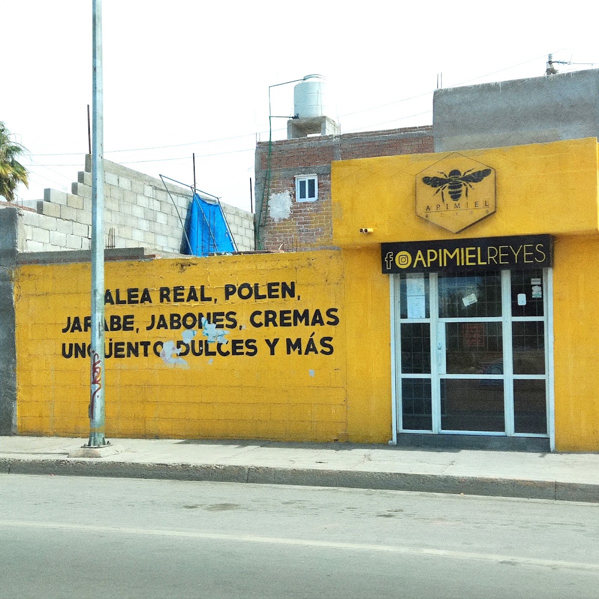 APIMIEL REYES