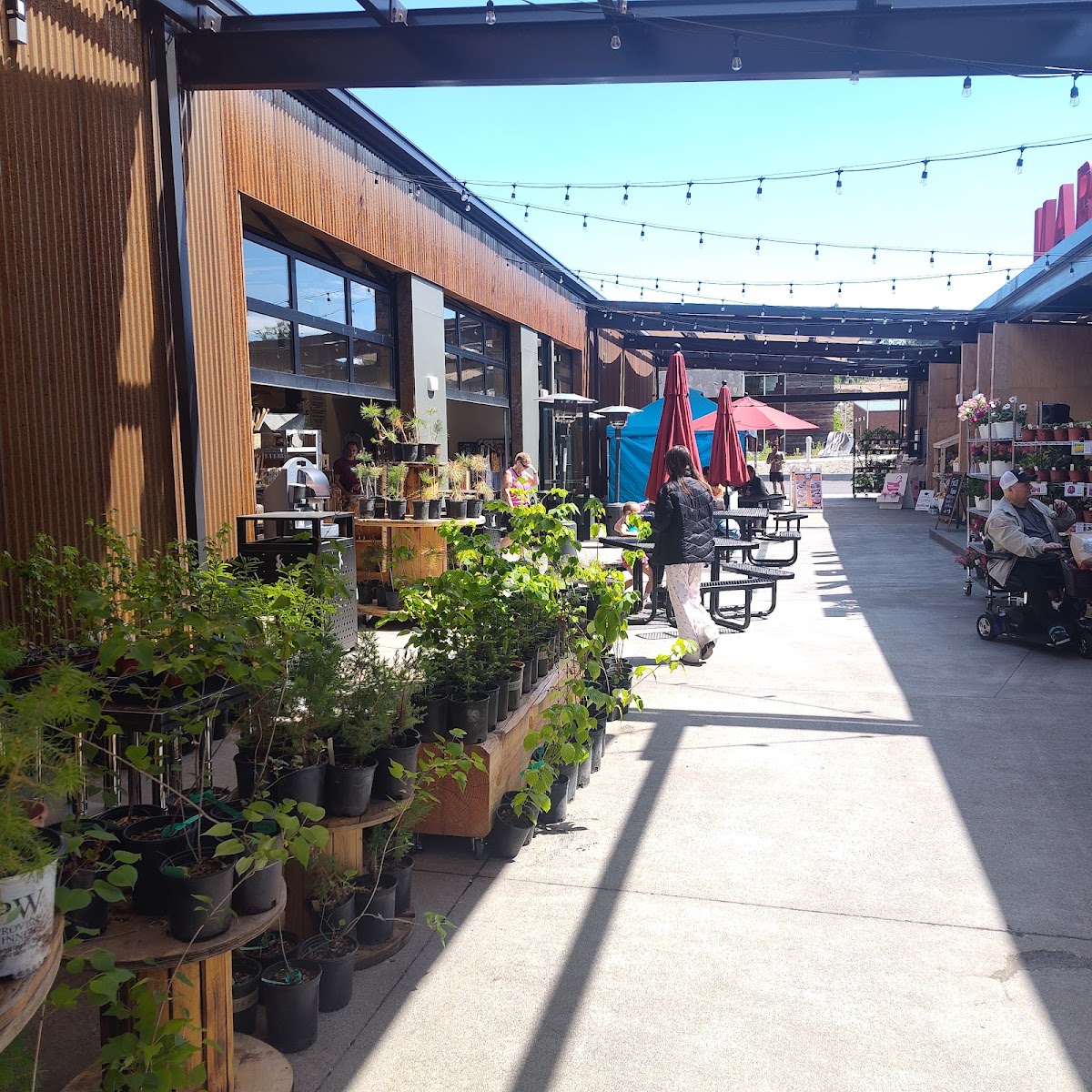 Scale House Market