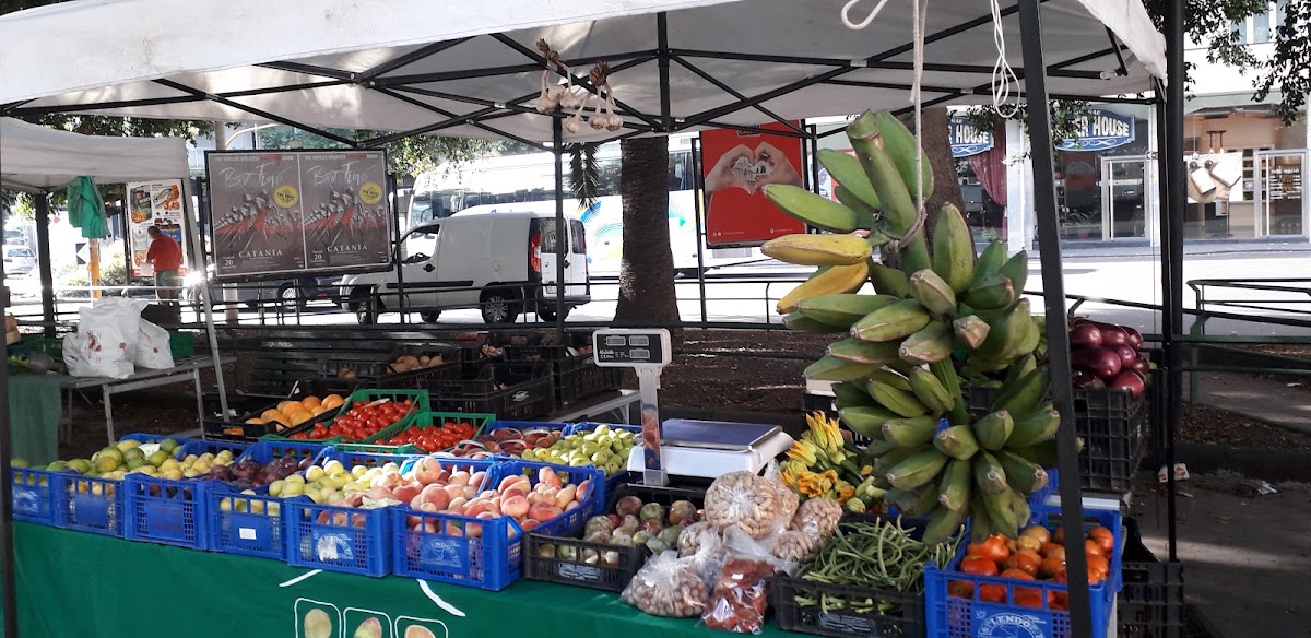 Mercato del Contadino