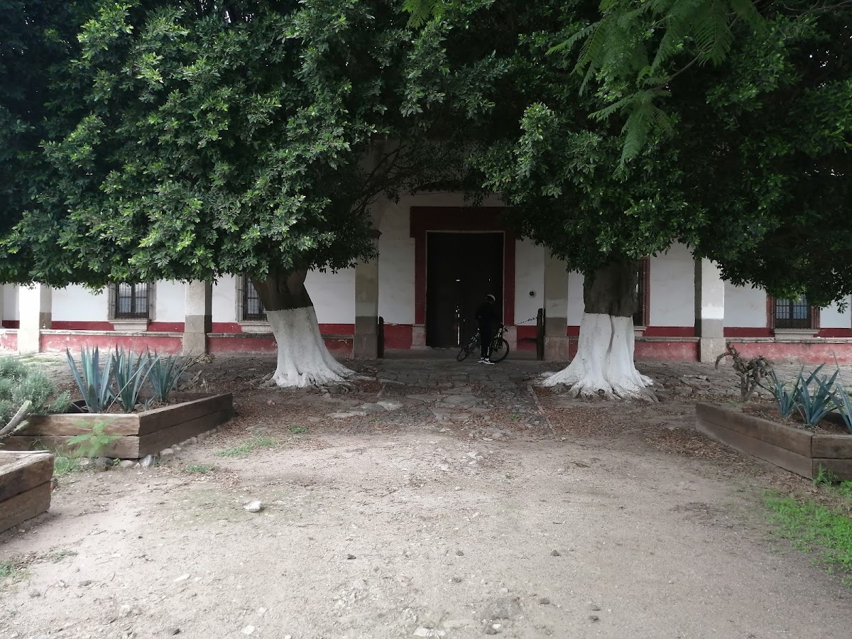 MISCELANEA FUENTECHELAS