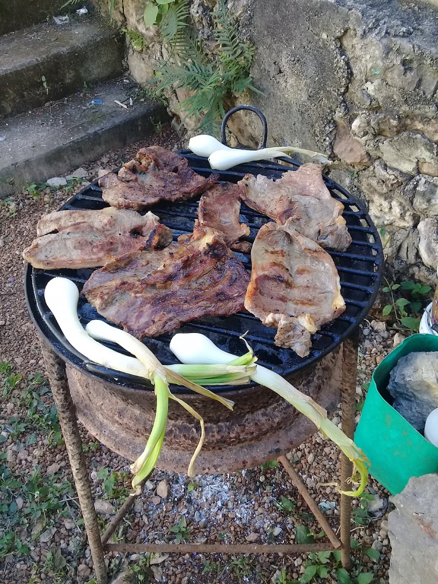 flamboyanes