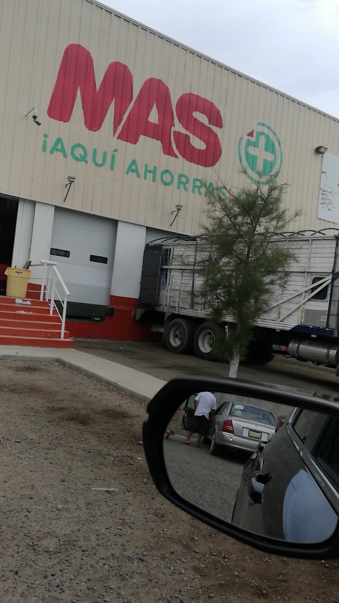 MAS Bodega