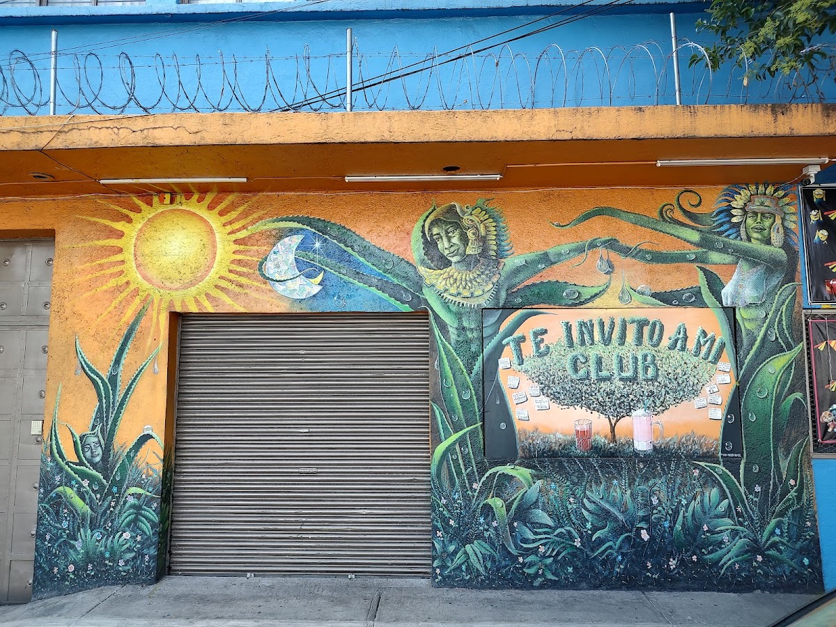 Club de Nutrición Trini