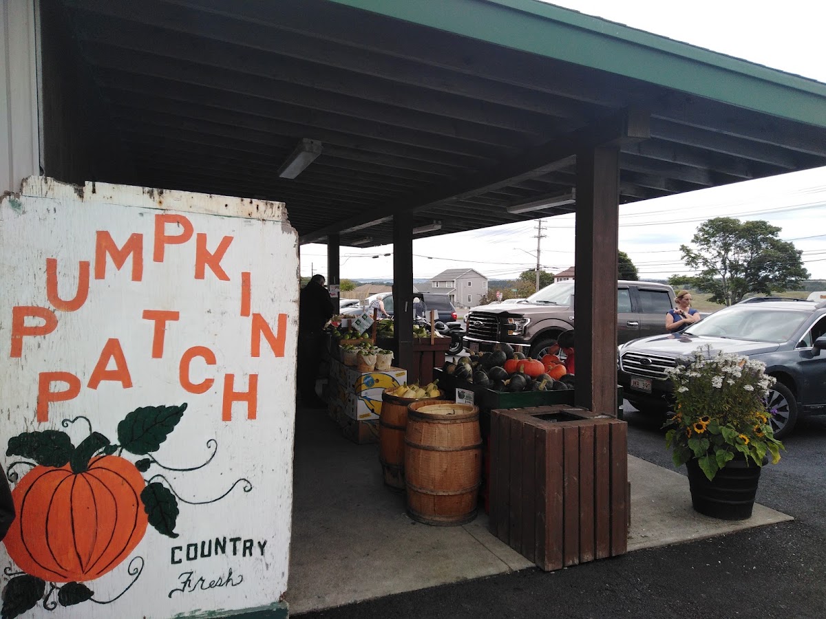 Pumpkin Patch