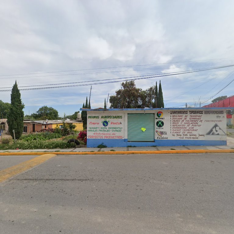 Tienda Ok Maguey Tigres