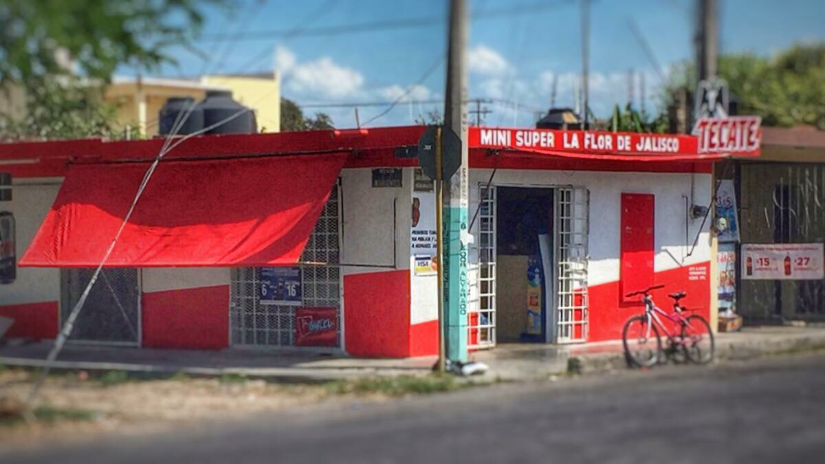 Mini Súper La Flor de Jalisco