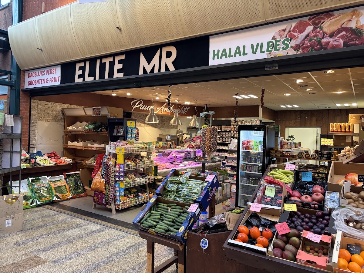Elite MR