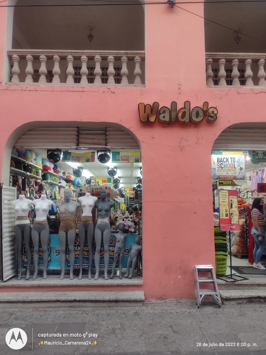 Waldo's Juarez Celaya Centro (GTO)