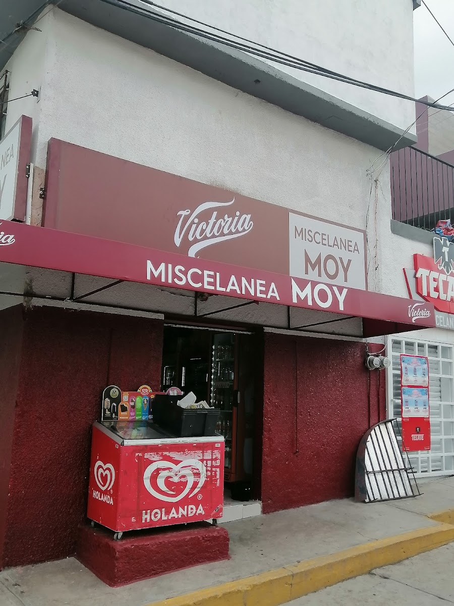 Tienda de abarrotes y comercio Moy