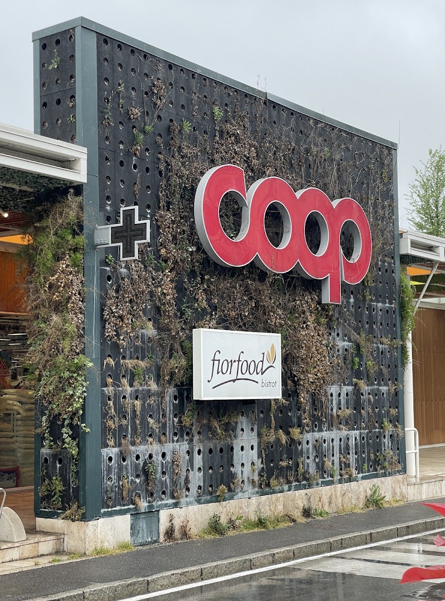 Coop